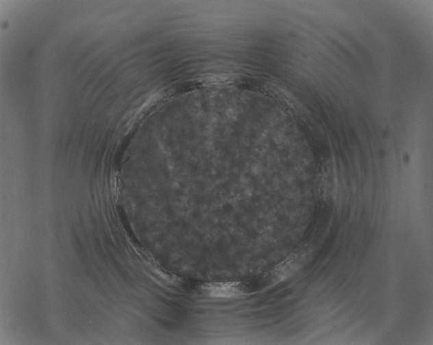 X0000077290093200611031601