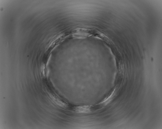 X0000077290094200611031601