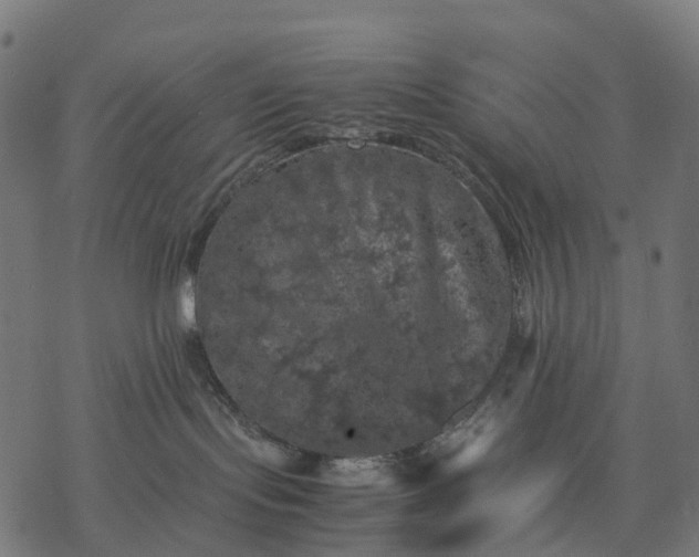 X0000077290095200611031601