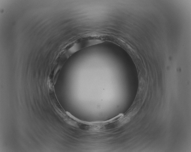 X0000077290096200611031601