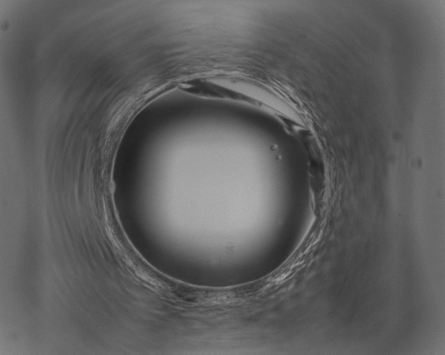 X0000077290097200611031600