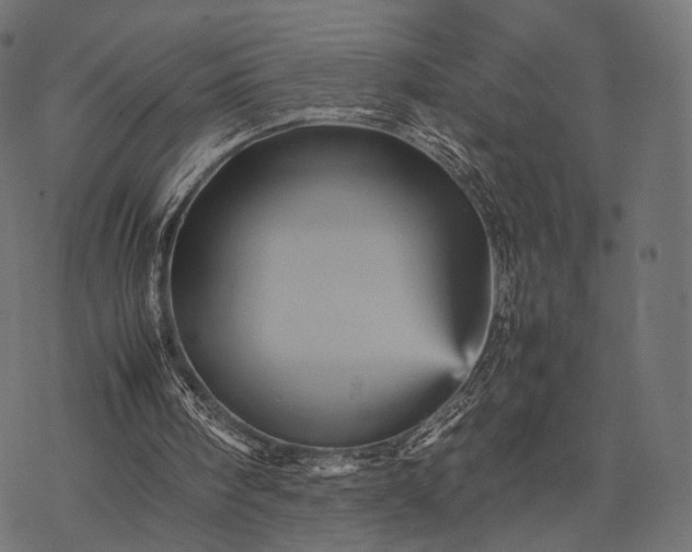 X0000077290098200611031600