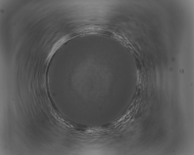 X0000077290099200611031600