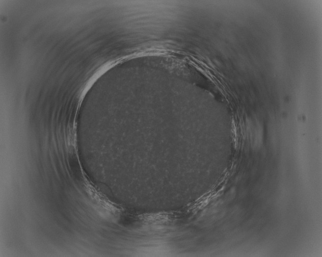 X0000077290100200611031600