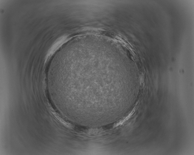 X0000077290101200611031600