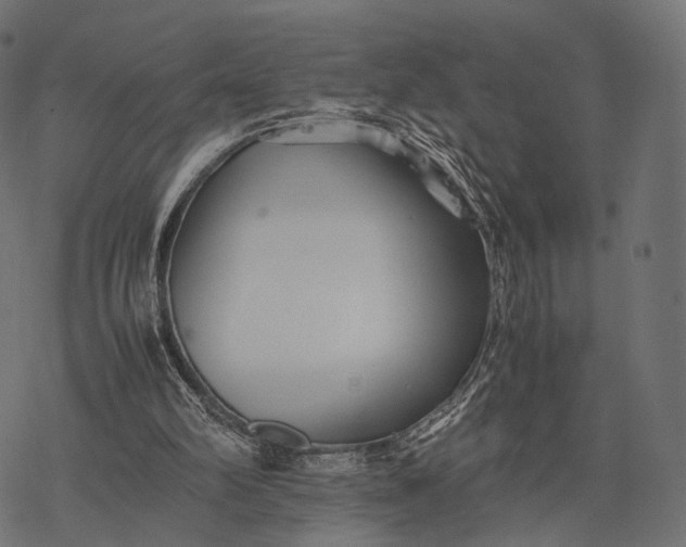 X0000077290102200611031600