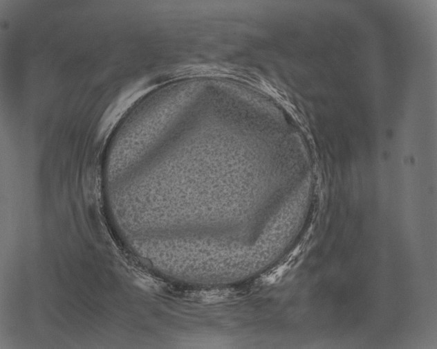 X0000077290103200611031600