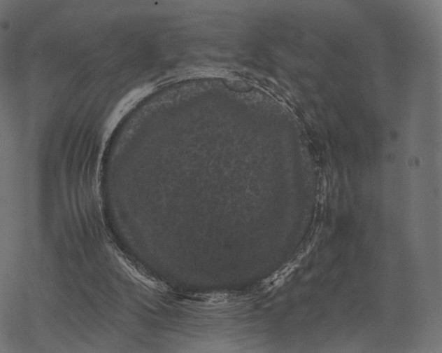 X0000077290104200611031600