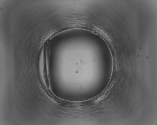 X0000077290105200611031600