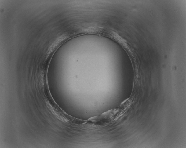 X0000077290106200611031600