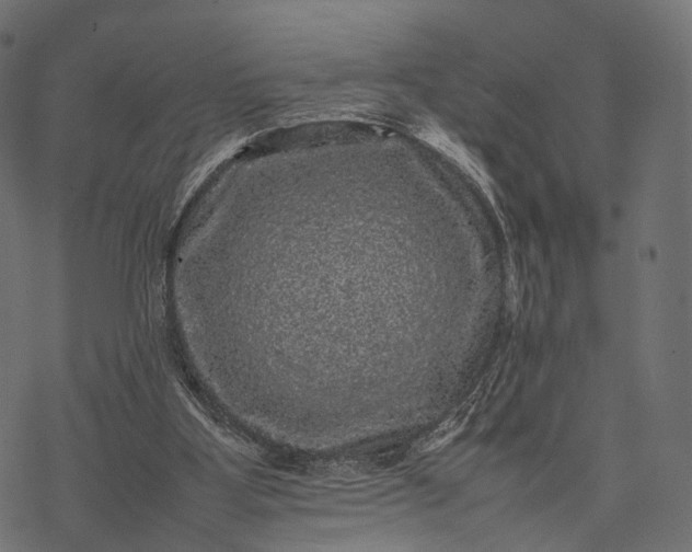 X0000077290107200611031600