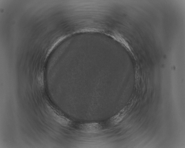 X0000077290108200611031600