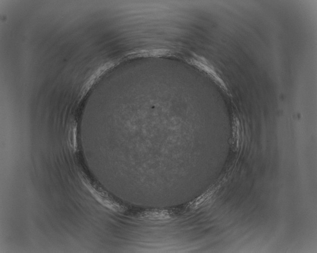 X0000077290110200611031600