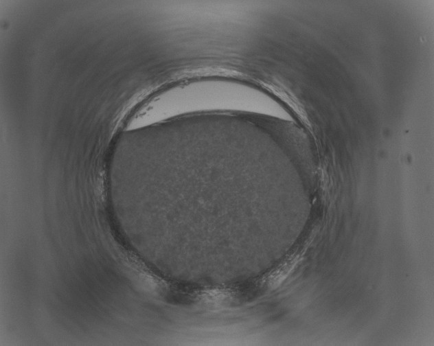 X0000077290111200611031600