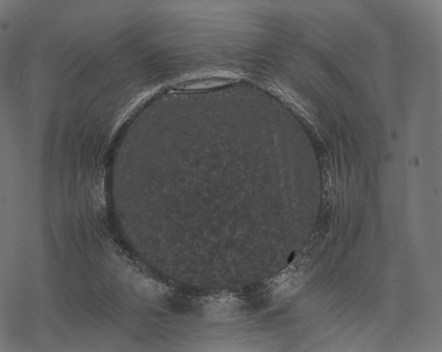 X0000077290112200611031600