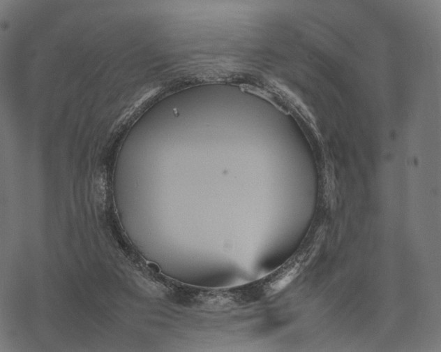 X0000077290113200611031600