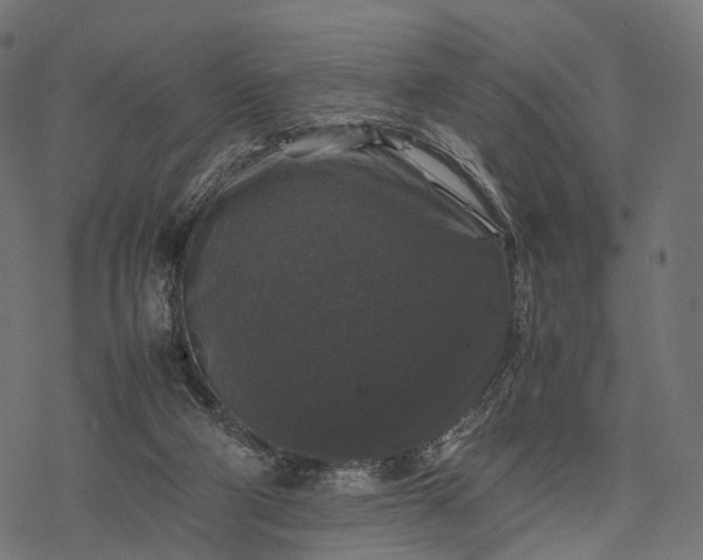 X0000077290114200611031600