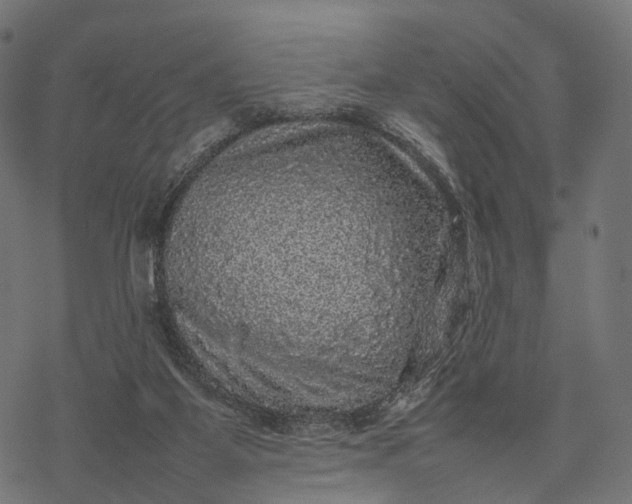 X0000077290115200611031600