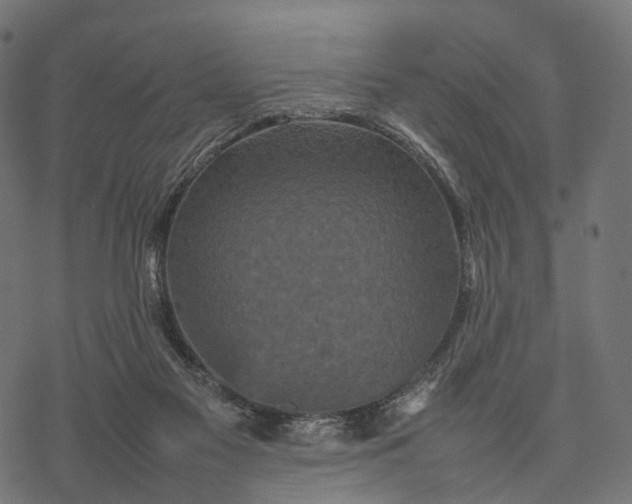 X0000077290117200611031600