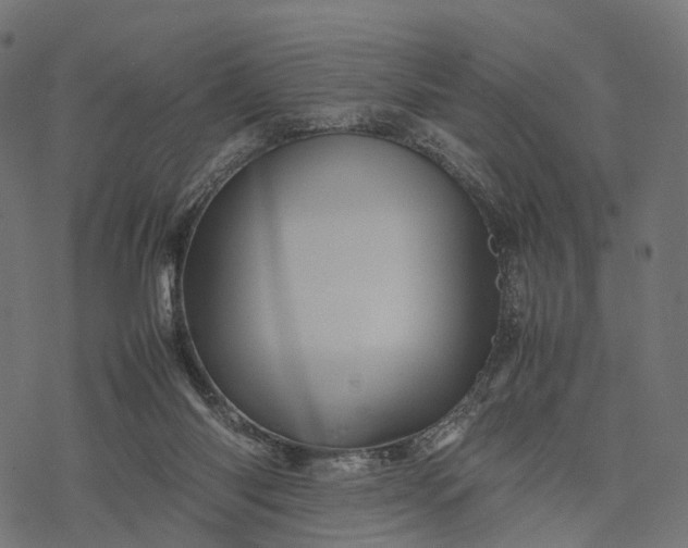 X0000077290118200611031600