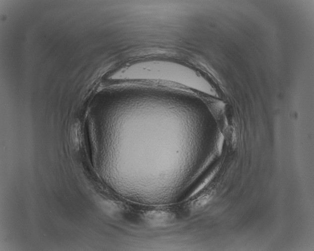 X0000077290119200611031600