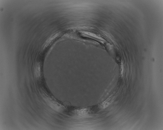 X0000077290120200611031600