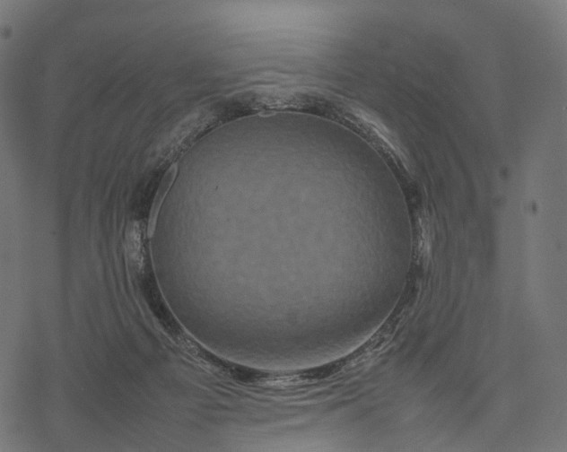 X0000077290121200611031600