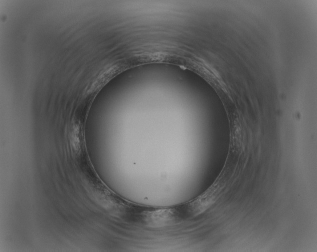 X0000077290122200611031600