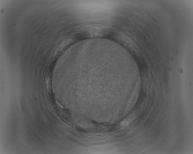 X0000077290123200611031600