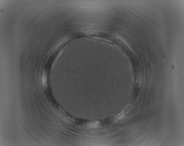 X0000077290124200611031600