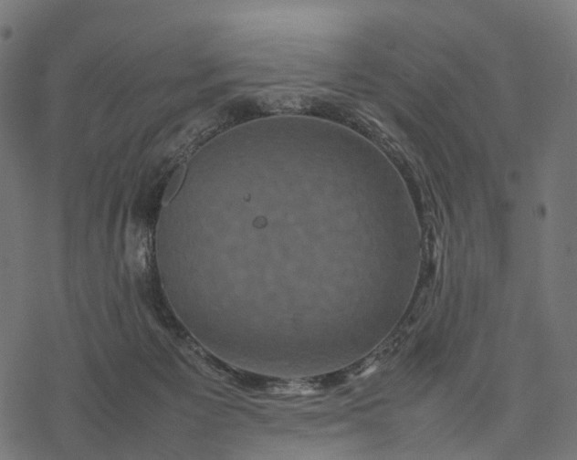 X0000077290125200611031600