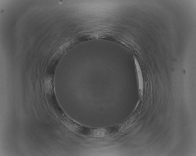 X0000077290127200611031600