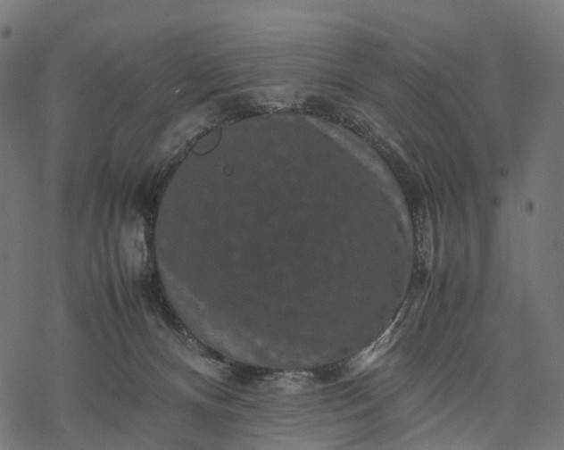 X0000077290128200611031600