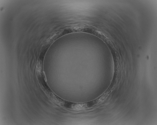 X0000077290129200611031600