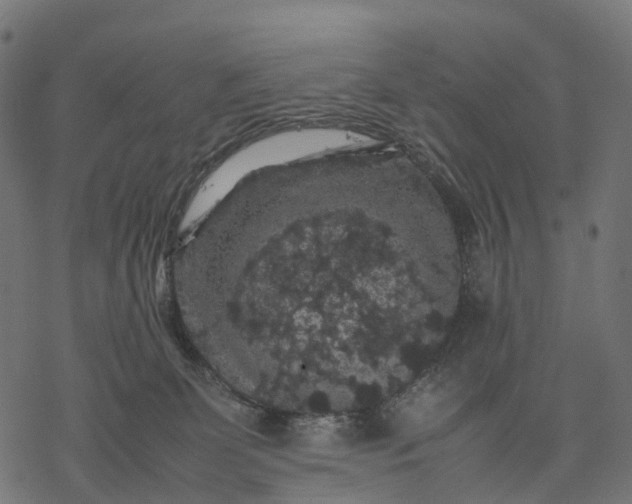 X0000077290131200611031600