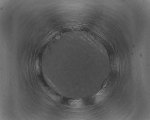 X0000077290132200611031600