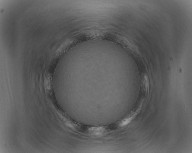 X0000077290133200611031600