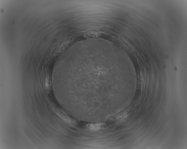 X0000077290134200611031600