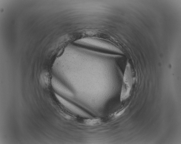 X0000077290135200611031600