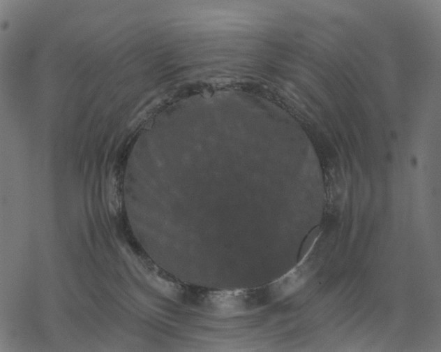 X0000077290136200611031600