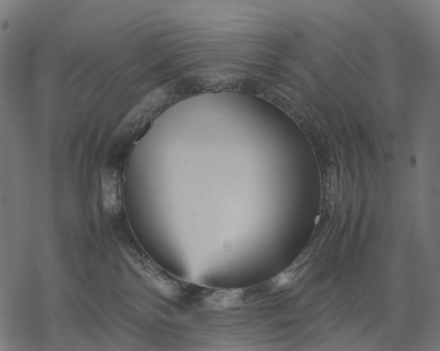 X0000077290138200611031600