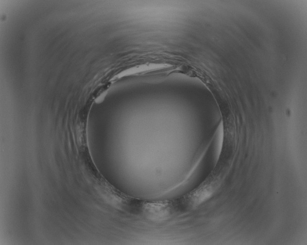 X0000077290139200611031600