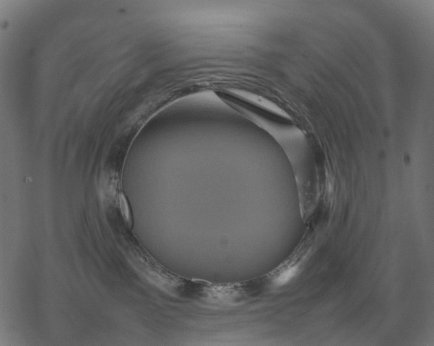 X0000077290141200611031600