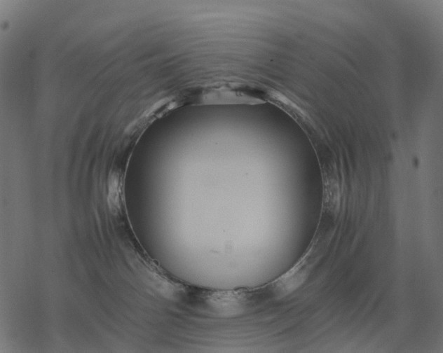 X0000077290142200611031559