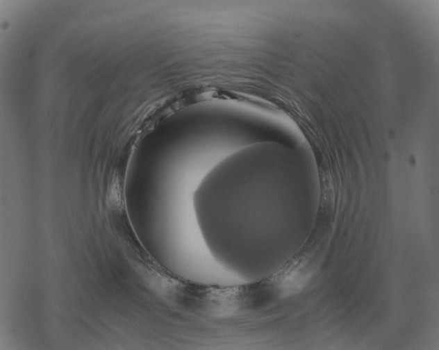 X0000077290143200611031559