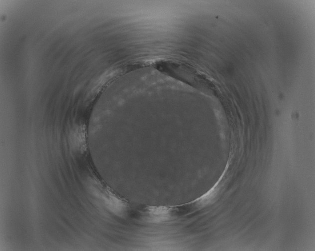 X0000077290144200611031559