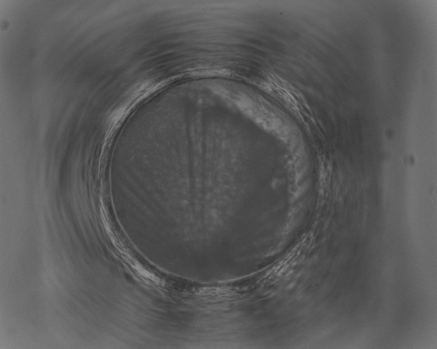 X0000077290145200611031559