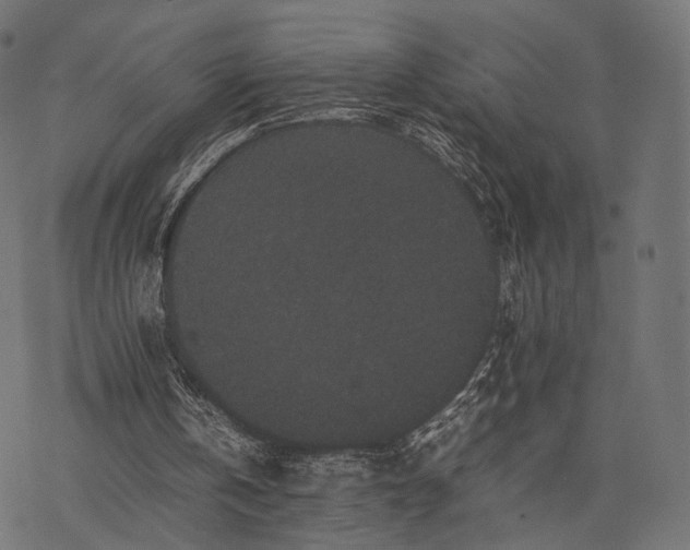 X0000077290146200611031559