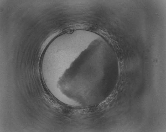 X0000077290147200611031559