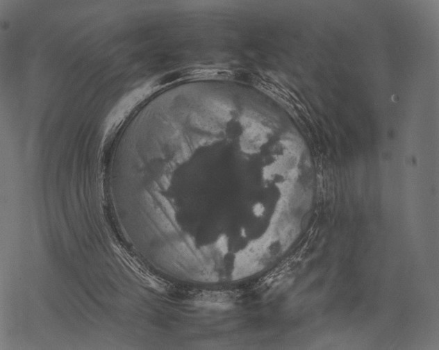 X0000077290149200611031559